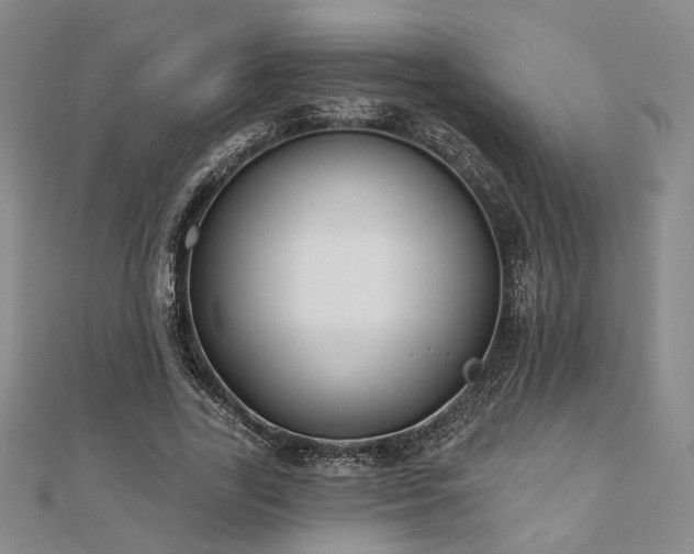 X0000111000731200906191550