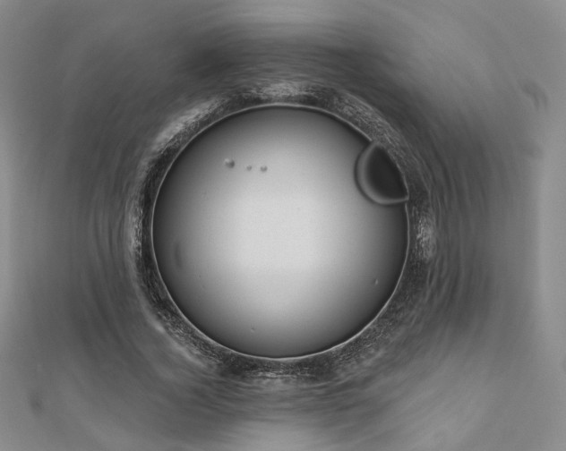 X0000111000732200906191550