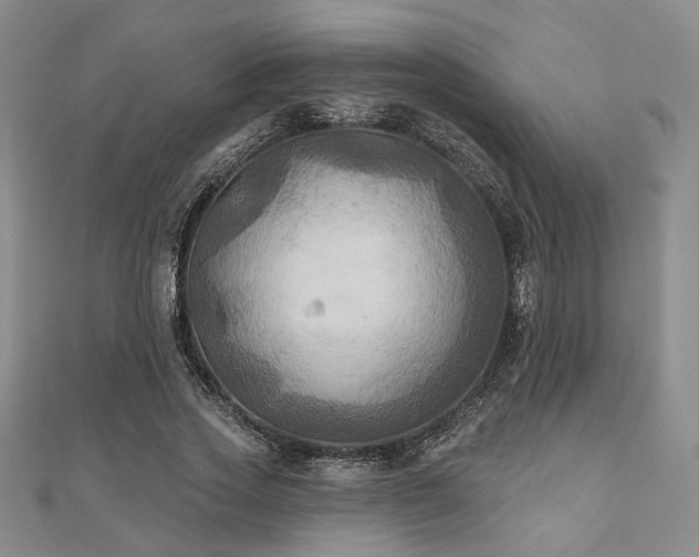 X0000111000733200906191550