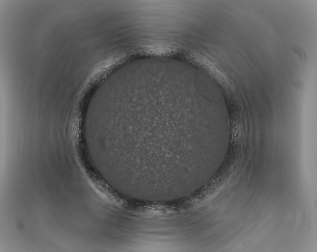 X0000111000736200906191550