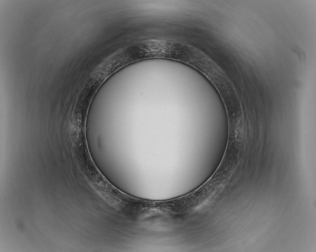 X0000111000737200906191550