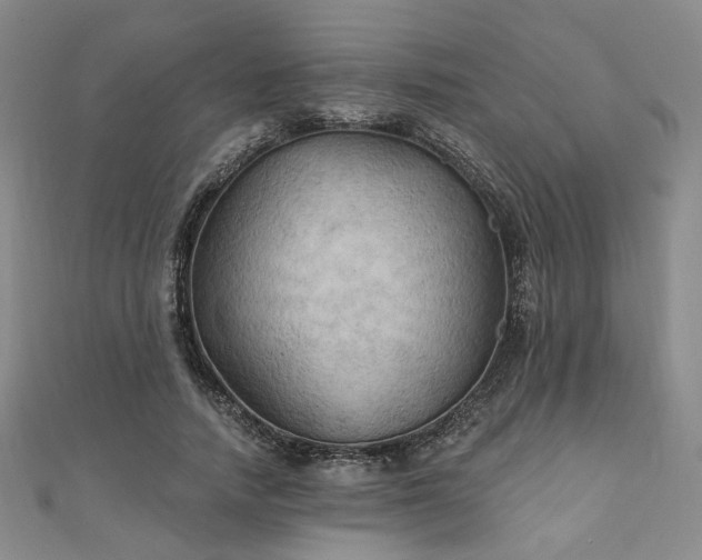 X0000111000738200906191550