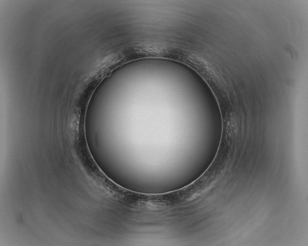 X0000111000739200906191550
