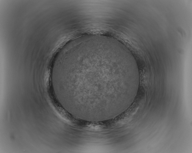 X0000111000742200906191550