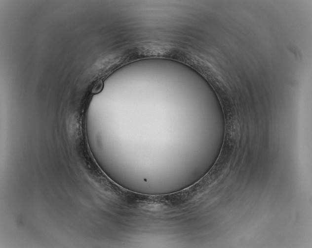 X0000111000743200906191550