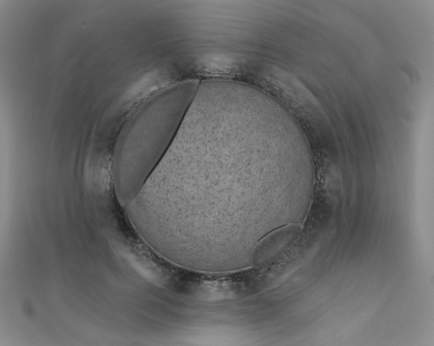 X0000111000744200906191550