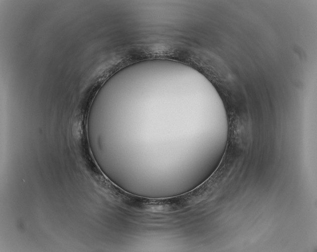 X0000111000746200906191550