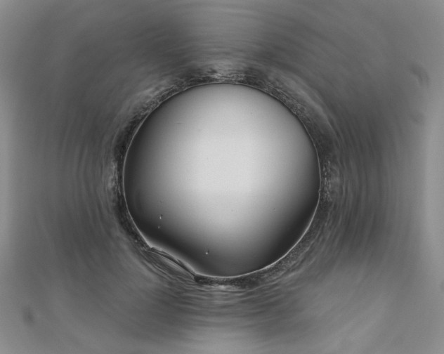 X0000111000748200906191550