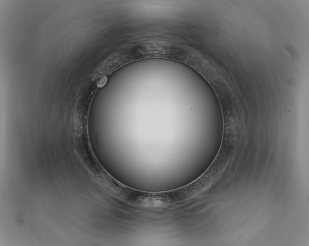 X0000111000751200906191550