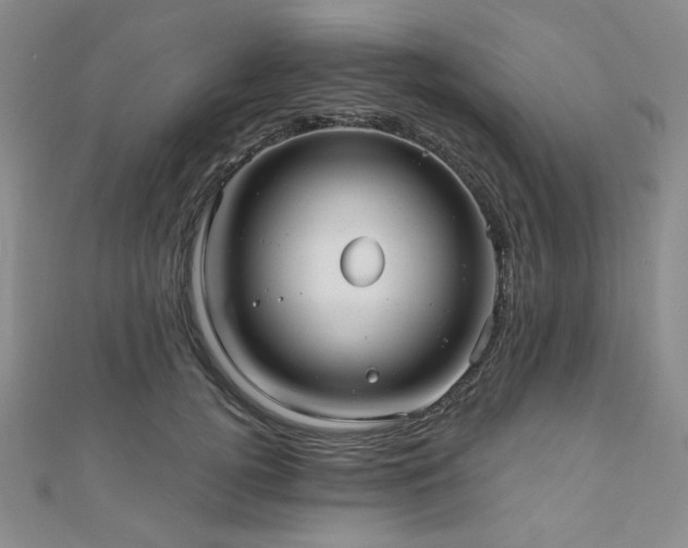 X0000111000752200906191550