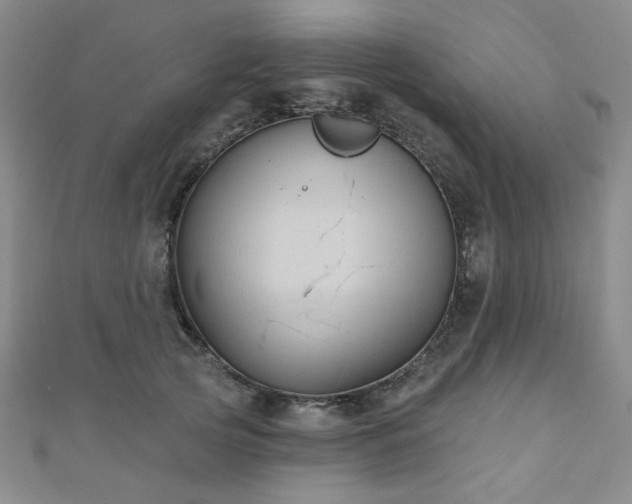 X0000111000753200906191550