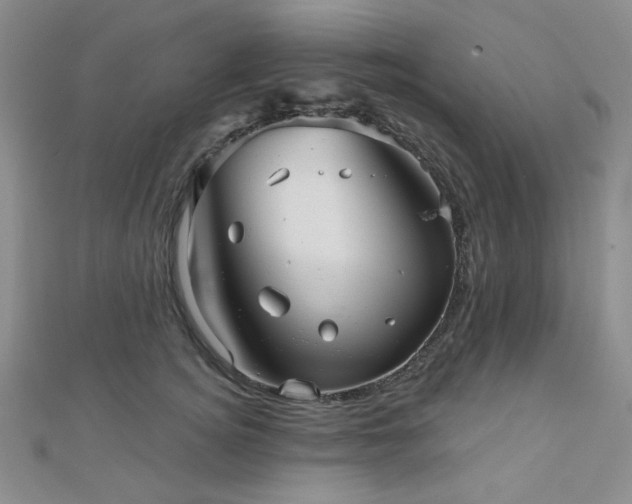 X0000111000756200906191551