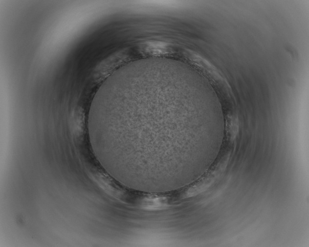 X0000111000760200906191551