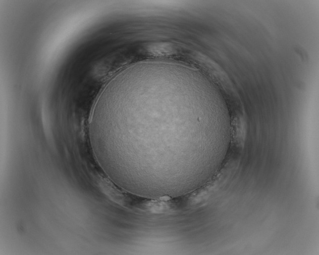 X0000111000762200906191551