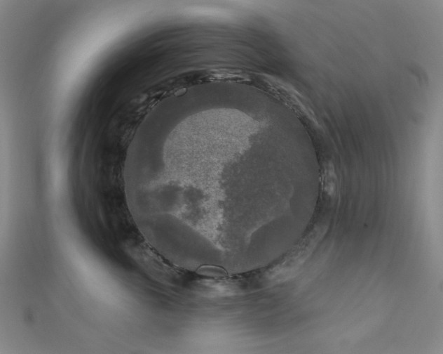 X0000111000763200906191551