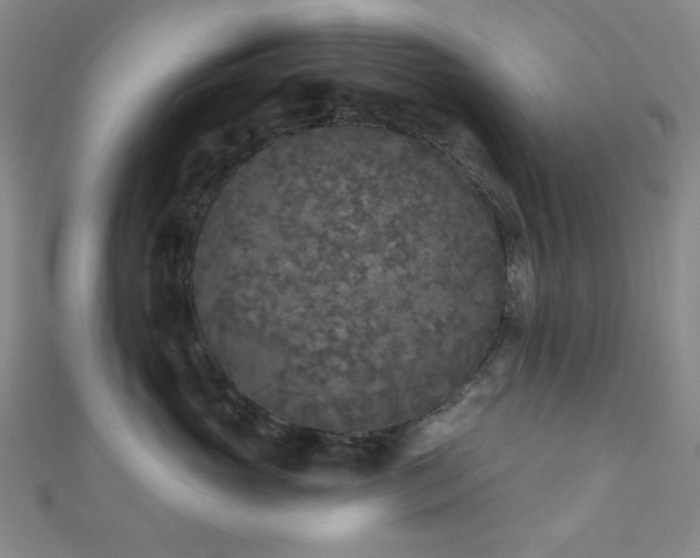 X0000111000765200906191551