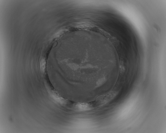 X0000111000767200906191551