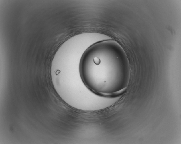 X0000111000768200906191551