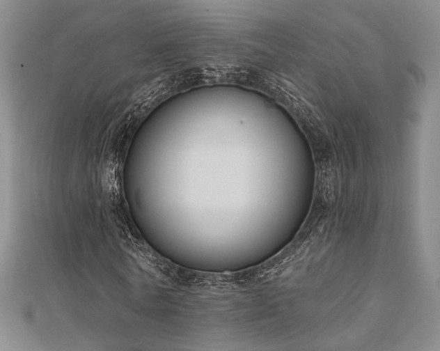X0000111000770200906191550