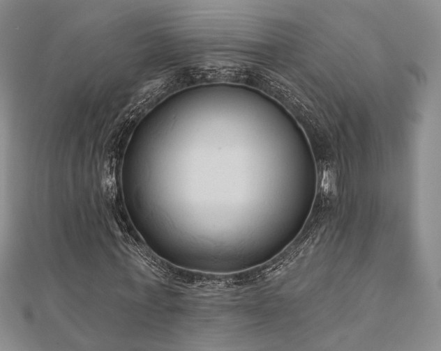 X0000111000771200906191550