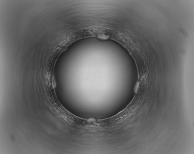 X0000111000772200906191550