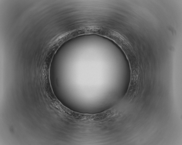 X0000111000773200906191550
