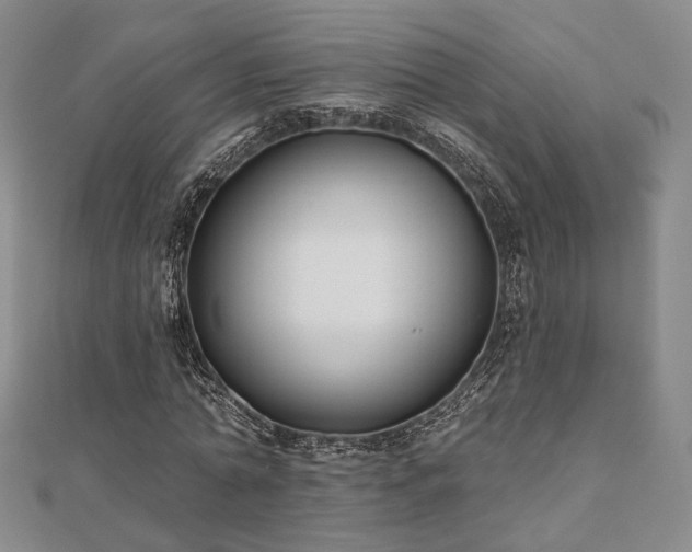 X0000111000774200906191550