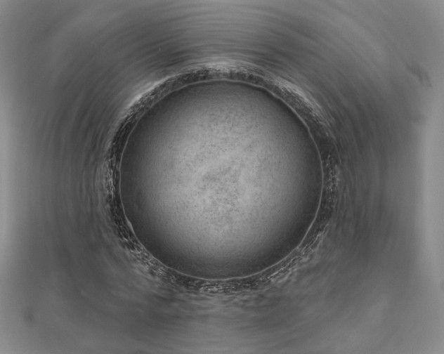 X0000111000776200906191550