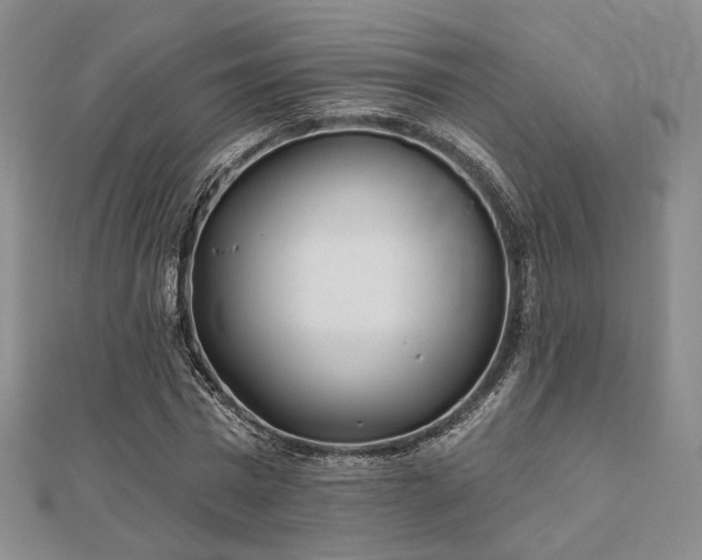 X0000111000777200906191550