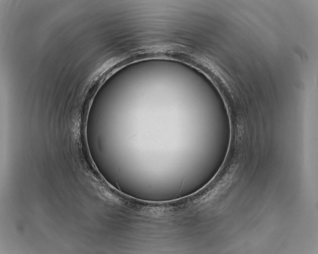 X0000111000778200906191550
