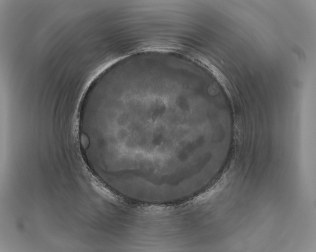 X0000111000779200906191550