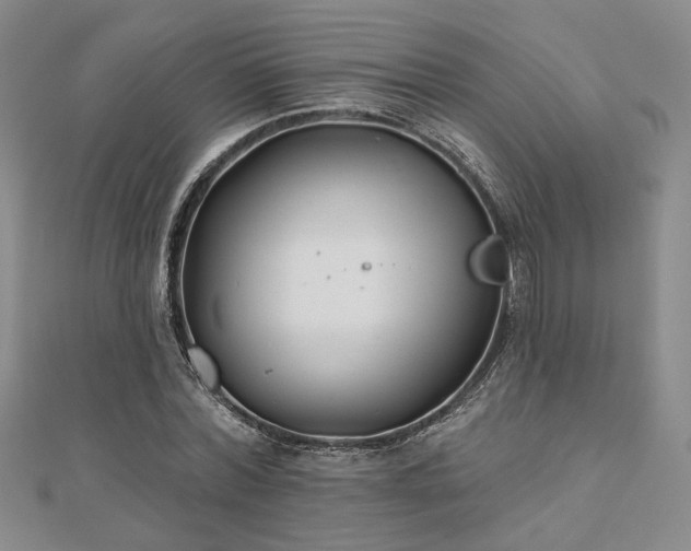 X0000111000780200906191550