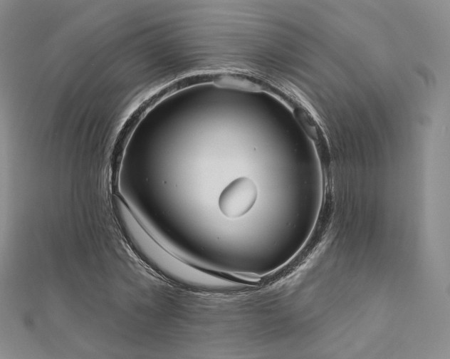 X0000111000781200906191550