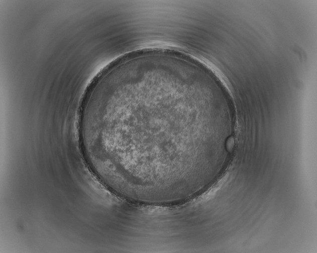 X0000111000783200906191550
