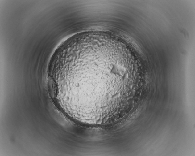 X0000111000784200906191550
