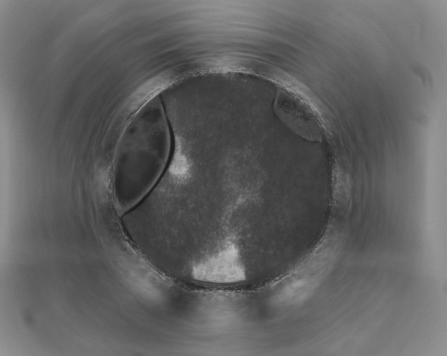 X0000111000785200906191550