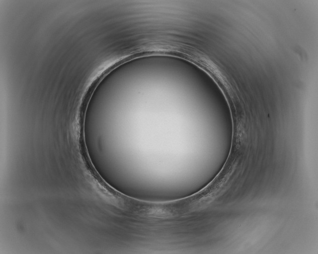 X0000111000787200906191550