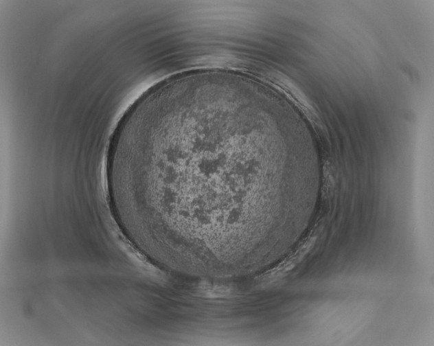 X0000111000788200906191550