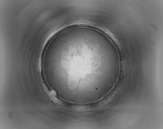 X0000111000791200906191550