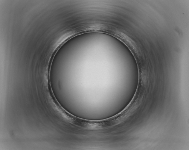 X0000111000794200906191550