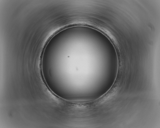 X0000111000799200906191550