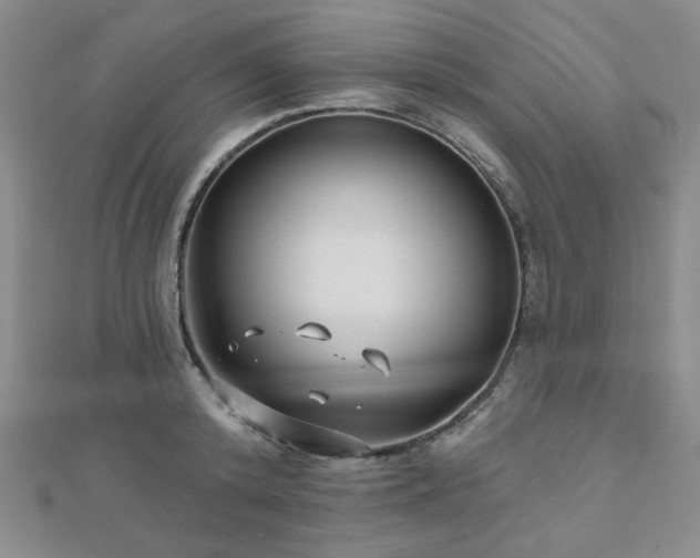 X0000111000800200906191550