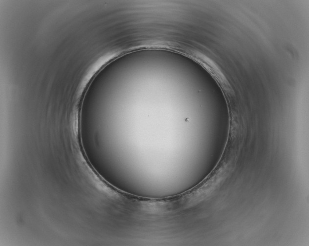 X0000111000804200906191550