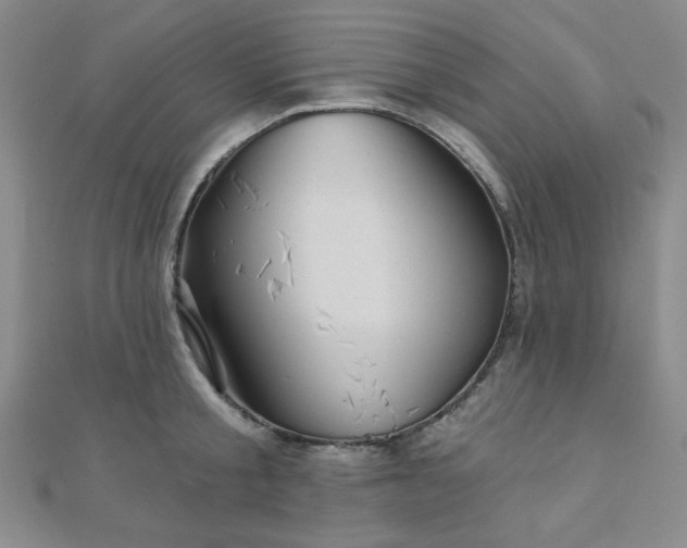 X0000111000805200906191550