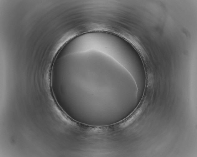 X0000111000806200906191550