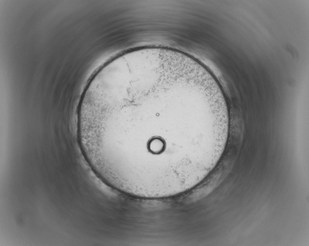 X0000111000807200906191550