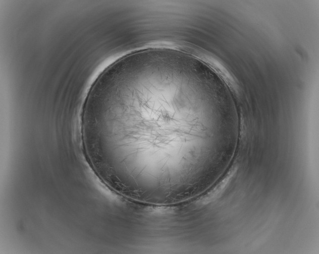 X0000111000808200906191550
