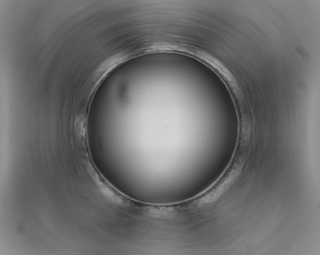 X0000111000809200906191550