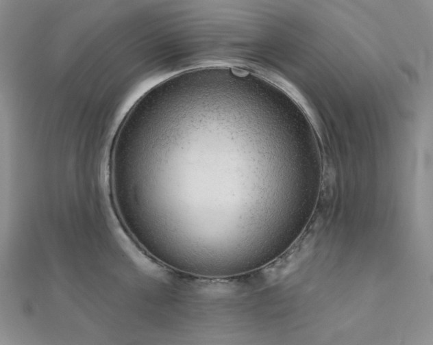 X0000111000811200906191550