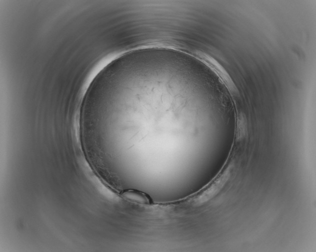 X0000111000812200906191550